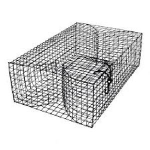 small pinfish trap